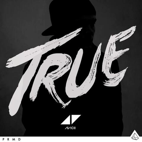 Cover AVICII - LEVELS